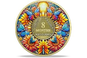IMASONER 8 Month Sobriety Coin Gifts | Sun and Boat Butterfly AA Coin - HA AA Chip Medallion with Serenity Prayer | Narcotics Alcoholics Anonymous Gifts for Anniversary Month & Year for Men & Women in Recovery