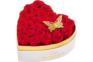 Eterfield Forever Flowers in Heart Shape Box, Preserved Roses That Last a Year Preserved Flowers Birthday Gifts for Her Mom Women Wife Anniversary Valentine's Day Mother's Day (27 Roses, Red)