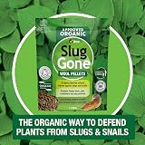 Vitax Slug Gone Wool Pellets 1L Natural Organic Barrier for Slugs & Snails view 4