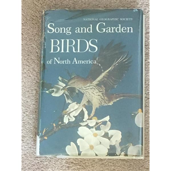 Birds of the Forest: Lansdowne, James Fenwick: 9780884860273