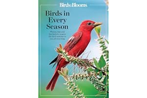 Birds & Blooms Birds in Every Season: Cherish the Feathered Flyers in Your Yard All Year Long (Birds & Blooms Guide)