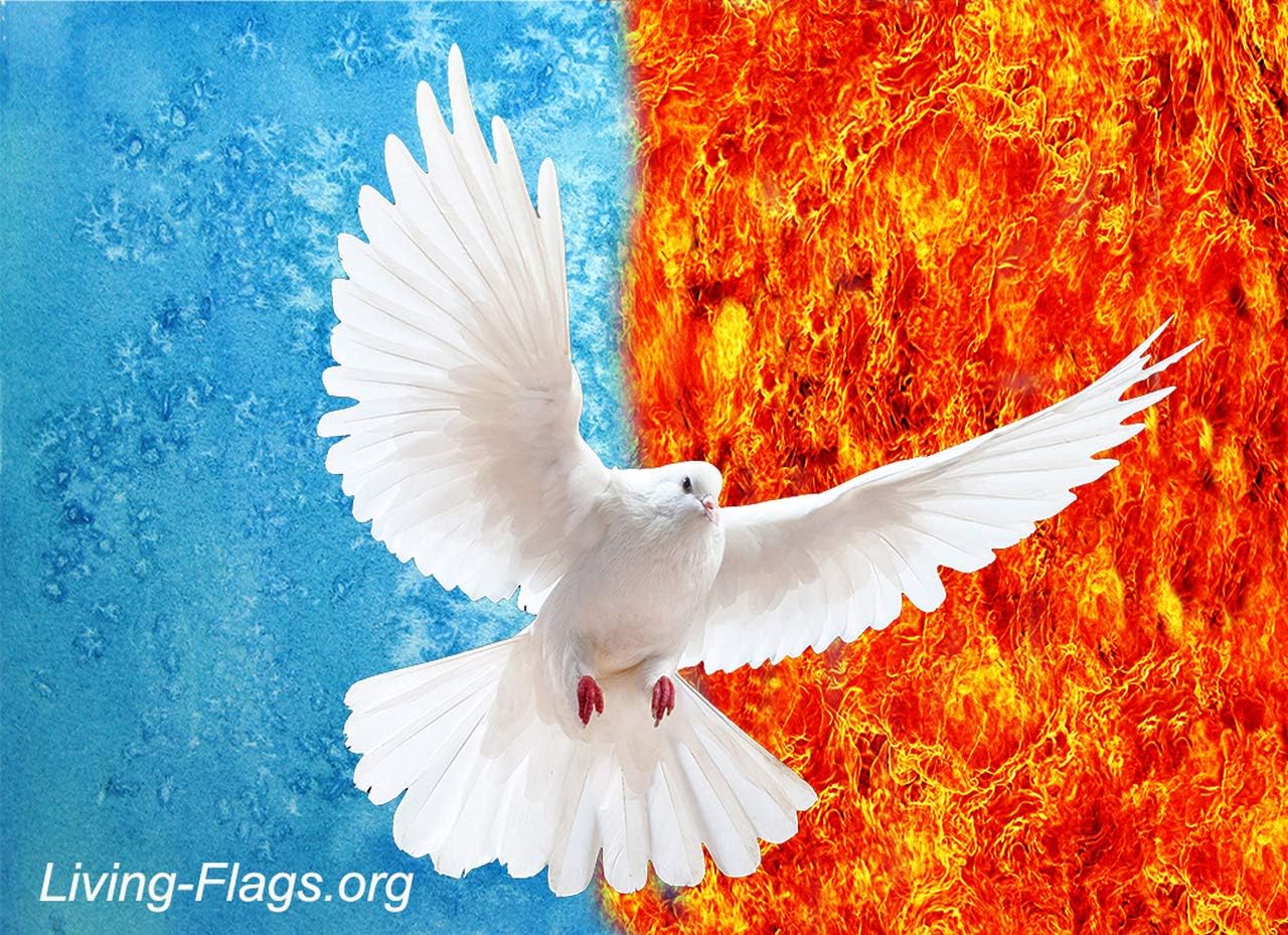 Symbols of Holy Spirit Worship Flag - L-QUILL (51"x40) - Flexible Flow Rod - (Single - 1 flag)