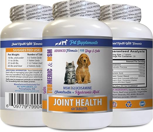 cockapoo cross yorkshire terrier