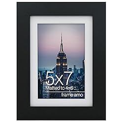 Frame Amo 22x33 Black Picture Frame with 17.5x26.5
