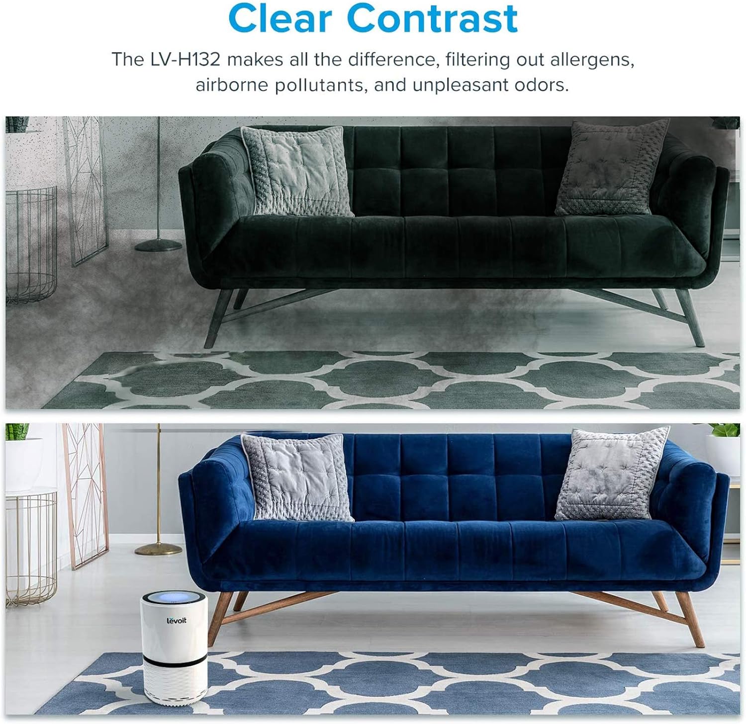 LEVOIT Air Purifier for Home with True HEPA Filter for Allergies and Pets, Dust, Mold, and Pollen, Smoke and Odor Eliminator: Home & Kitchen