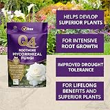Vitax Q4 Rootmore Mycorrhizal Fungi 250G Organic Soil Improves Roots view 2