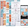 Nursing School Infographic Cheat Sheet Sticker Bundle Upgrade Set for Tri-Fold Clipboard: Boost Confidence in Clinicals with Critical Bonus Reference Material for Nurses and Students