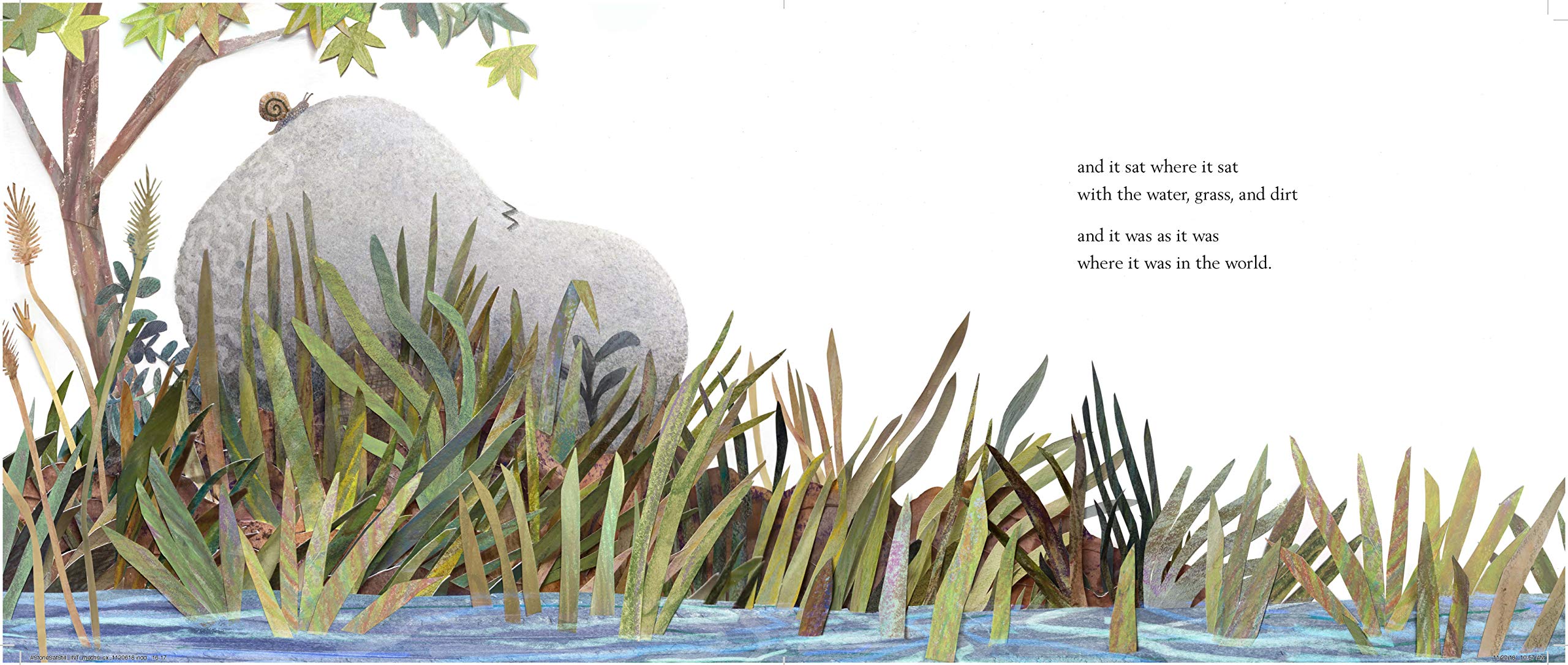 A Stone Sat Still: (Environmental and Nature Picture Book for Kids, Perspective Book for Preschool and Kindergarten, Award Winning Illustrator) (Brendan Wenzel)