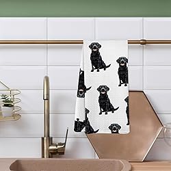 Yorhifa Black Labrador Retriever Dog Kitchen Dish