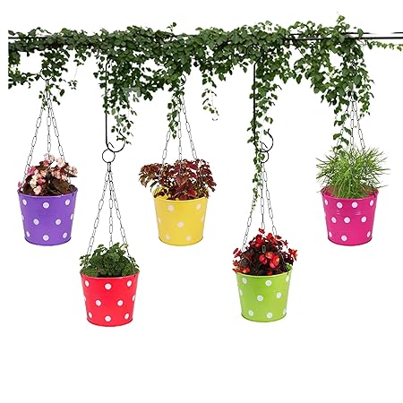Leafy Tales Metal Chain Hanging Planter - Set of 5 (Rust Free - Red, Green, Yellow, Pink, Purple) - with Chains