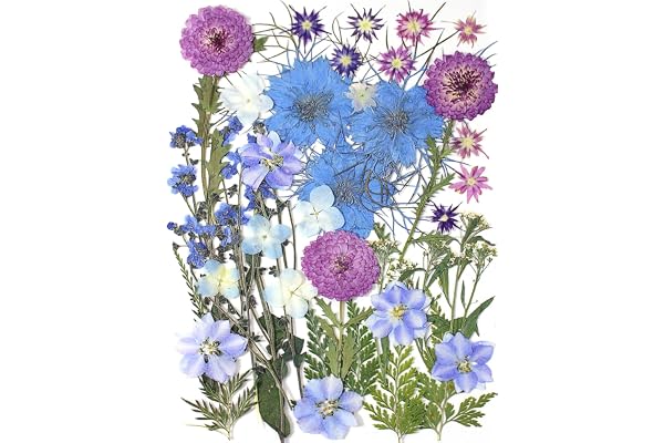8 Types 46pcs Real Dried Pressed Flowers Leaf Plant Herbarium for DIY Resin Jewelry Making Floral Decors (Blue)