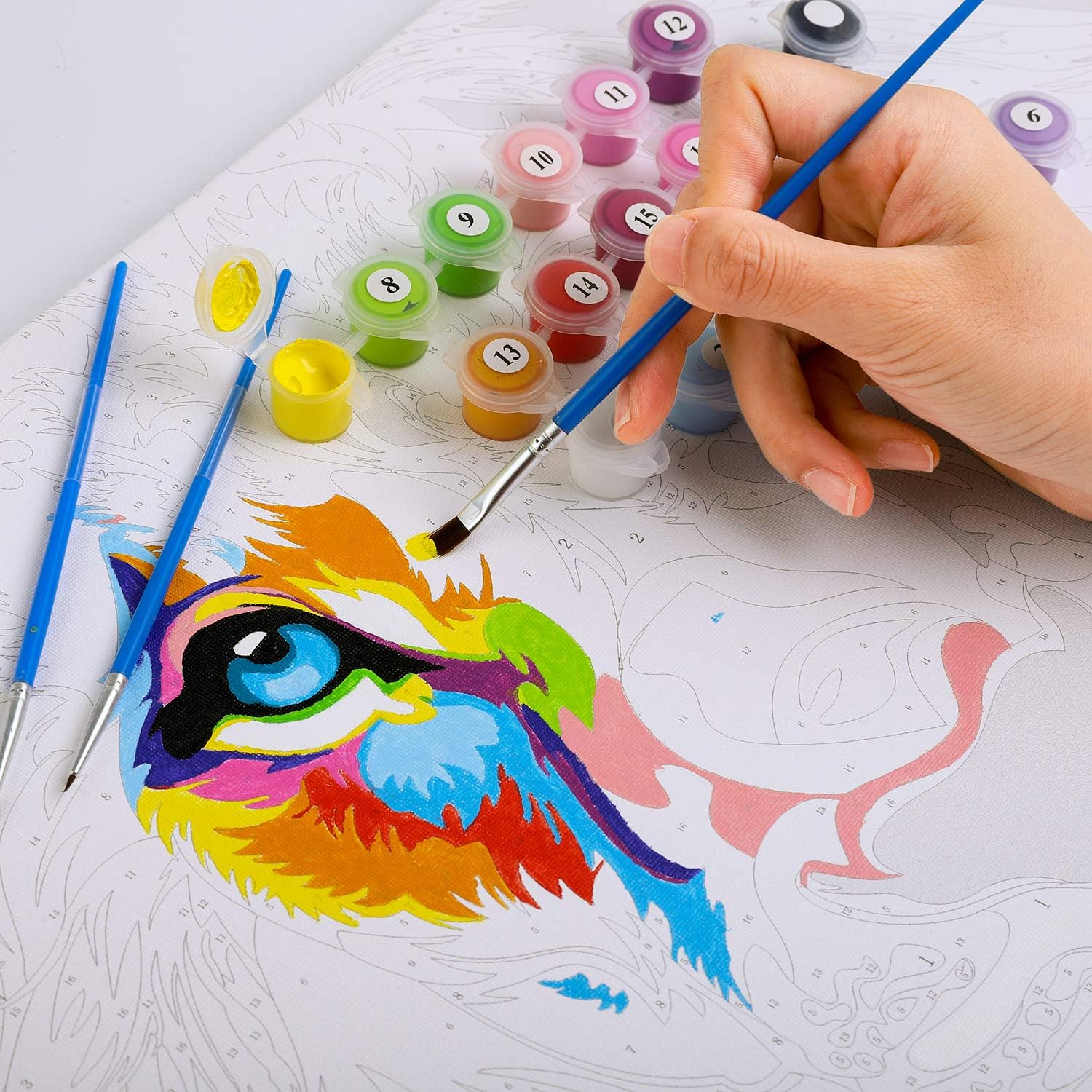 Colorful Animal Aodaer 4 Pack DIY Painting by Numbers for Adults Pre