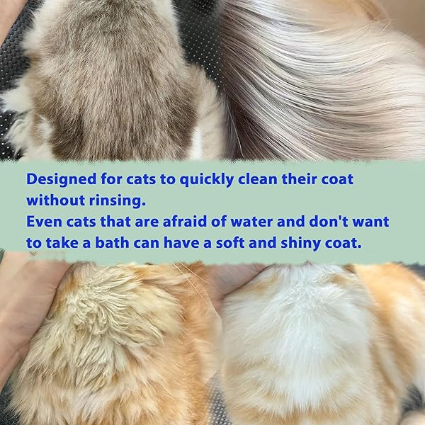 PETSTORAL WATERLESS CAT SHAMPOO NO RINSE KITTEN SHAMPOO, EASY CAT BATH CLEANER – HYPOALLERGENIC CAT SHAMPOO FOR LONG AND SHORT HAIR