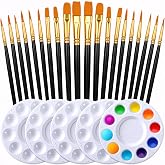 DUGATO Paint Brush &amp; Palette Set, 20 Brushes with 5 Mixing Trays, Black | Nylon Painting Brushes Assorted Sizes &amp; Shapes with Plastic Paint Trays, Ideal for Acrylic Watercolor Oil &amp; Gouache Painting
