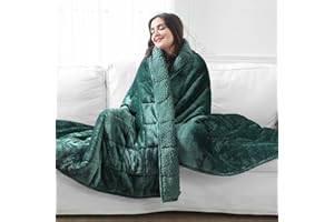 Aemicion Queen Size 20lbs Weighted Blanket for Adults, Fluffy Warm Sherpa & Cozy Soft Flannel Snuggle Thick Heavy Blanket Great for Sofa Bed, 60x80in Green