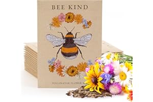 Bentley Seed Co. | Bee Kind Pollinator | Beautiful Bee Art | Environmental Favors Cards for Guests Seed Packets | Pollinator Wildflower Mix Seed Packets | Eco-Friendly Hand Out Gift | 25 Pack