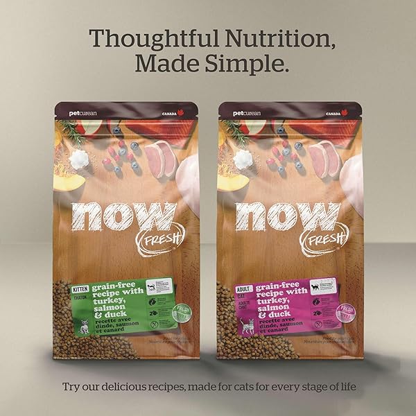 NOW FRESH GRAIN-FREE SENIOR DRY CAT FOOD WITH TURKEY, SALMON & DUCK, PREMIUM KIBBLE MADE WITH REAL POULTRY & FISH, CHICKEN-FREE RECIPE, SUPPORTS HEALTHY WEIGHT MANAGEMENT, 8 LB BAG