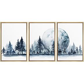 SIGNWIN 3 Piece Framed Canvas Wall Art Abstract...