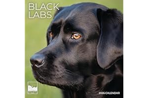 2026 Black Lab Wall Calendar 12 Month | 12" x 24" Open | Dog Photography Thick & Sturdy Paper for Organizing & Planning | Office Kitchen Decor or Gift | Pacific Waters Press (Black Labs)