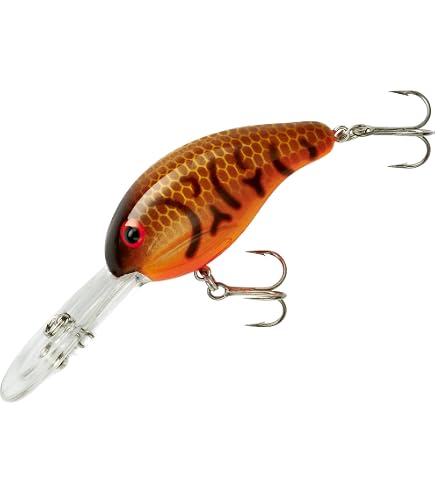 Amazon.com : Norman Lures DD22 Deep-Diving Crankbait Bass Fishing Lure,  Freshwater Fishing Accessories, 3", 5/8 oz, Bumble Bee Perch : Fishing  Diving Lures : Sports & Outdoors