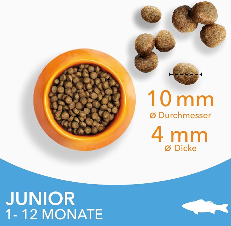 Trockenfutter mit Fisch für Kitten im Alter von 1-12 Monaten, 10 kg
