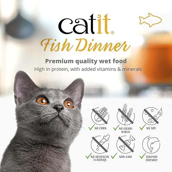 CATIT FISH DINNER WITH SHRIMP & GREEN BEANS – HYDRATING AND HEALTHY WET CAT FOOD FOR CATS OF ALL AGES 6 CUPS