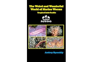The Weird and Wonderful World of Marine Worms: Tropical Indo-Pacific (Coral Reef Academy: Indo-Pacific Photo Guides Book 2)