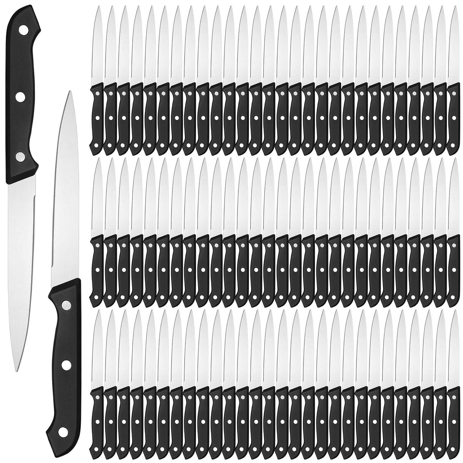 Photo 1 of Lasnten 100 Pcs 8.78 Inches Stainless Steel Steak Knives Set Pointed Tip Plastic Handle Kitchen Steak Knife for Restaurant Tableware Camping Wedding Party, Black