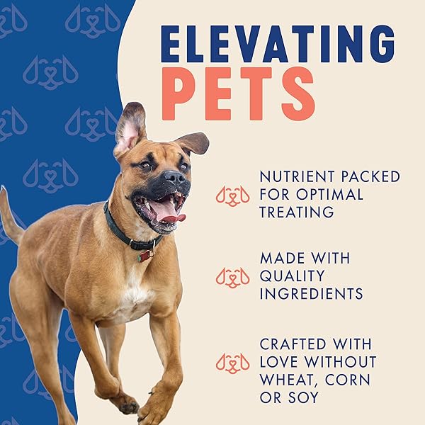 FINLEY’S SALMON TRAINING BITES, LOW CALORIE, ALL NATURAL SOFT CHEW DOG TREATS, 10 OUNCE (PACK OF 1)
