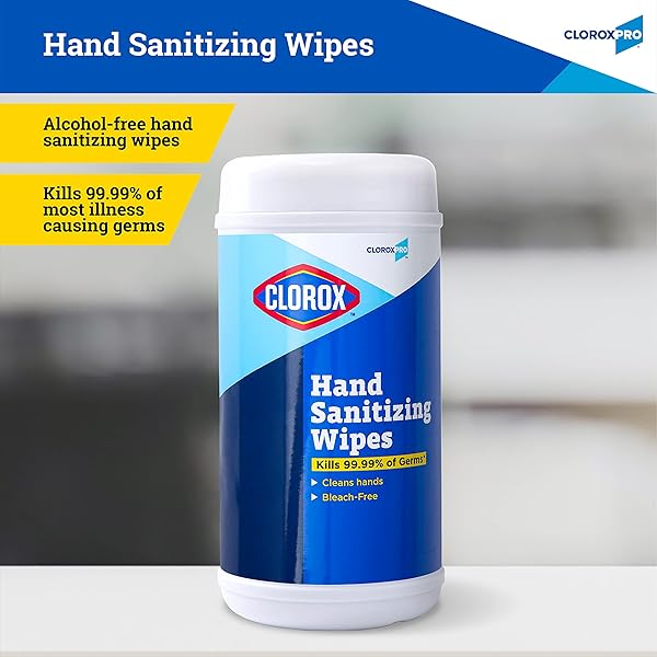 CLOROX PRO HAND WIPES IN RESEALABLE CANISTER, 40 CT | CLOROX ALCOHOL FREE WIPES WITH BZK | CLOROX HAND WIPES, TRAVEL HAND WIPES, ALCOHOL FREE HAND WIPES, WIPES FOR HANDS