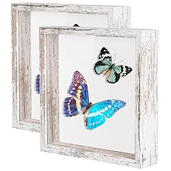 Califortree 8x8 Shadow Box Frame with Soft Linen