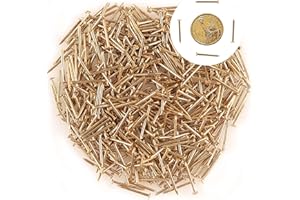 newlng 500PCS Small Nail Round Head Tiny Nails String Art Nails Hand-Made Hardware Accessories Fasteners Mini Nail 1.5mm X 20mm/0.06"X0.8"(DXL) Golden