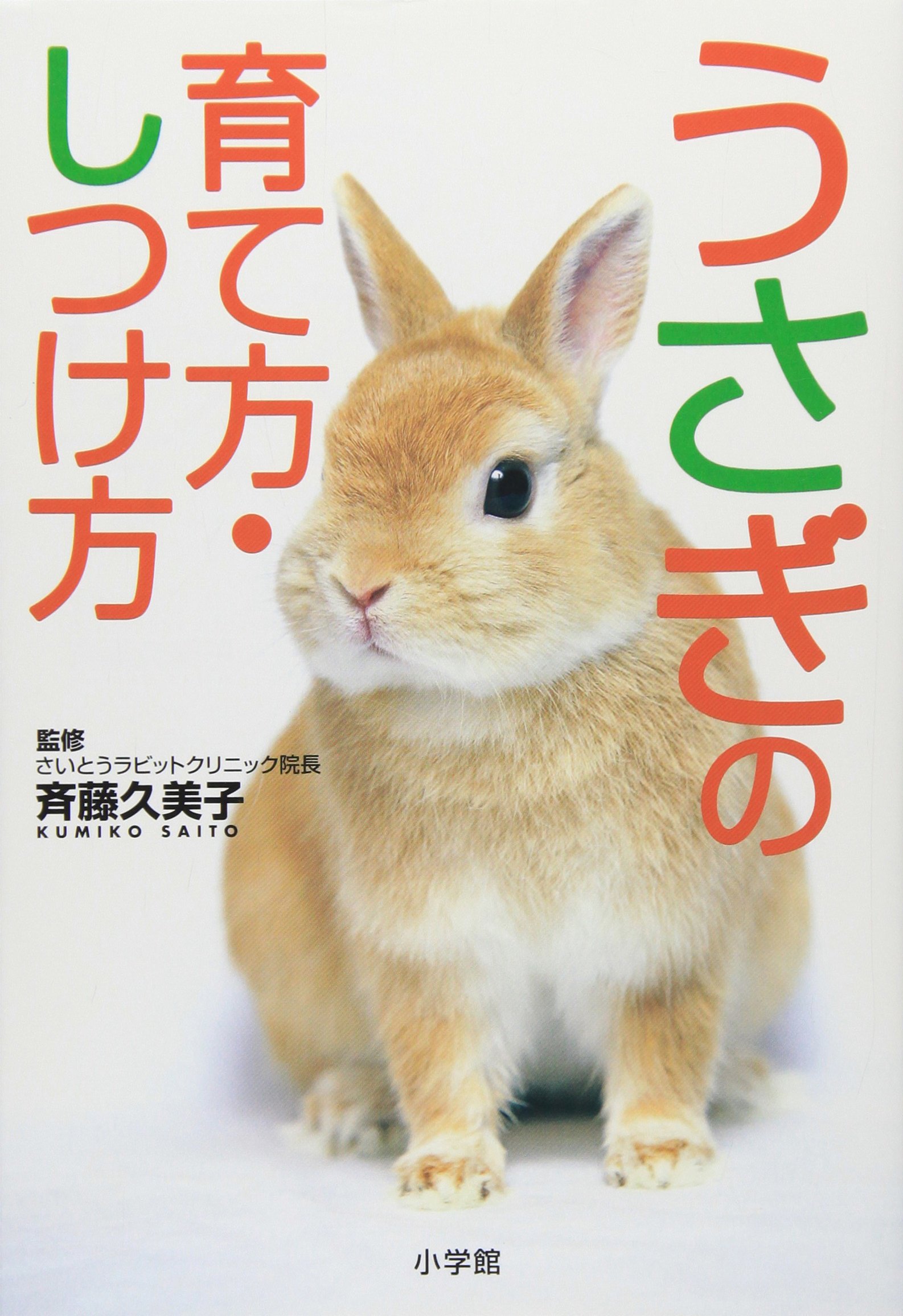 うさぎの育て方 しつけ方 早わかりガイド Amazon De Bucher