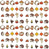 Youdiyla 40pcs Fall Thanksgiving Charms for Jewelry Making Bulk, Enamel Pumpkin Maple Leaf Turkey Autumn Charms for Bracelets Necklaces Earrings Craft Making SN1002