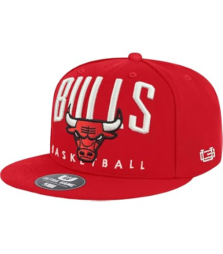 Amazon.com : Ultra Game Men's NBA Official Suede Snap Back 3D