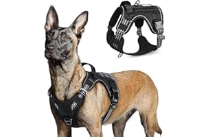 rabbitgoo Dog Harness No Pull, Military for Large Dogs with Handle & Molle, Easy Control Service Vest Training Walking, Adjus