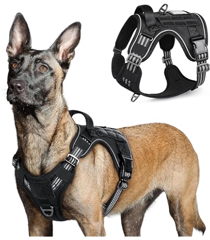 Amazon.com : Bestia Maximus Silver Big Dog Leather Harness … : Pet