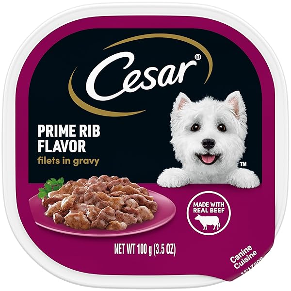 CESAR FILETS IN GRAVY ADULT WET DOG FOOD, PRIME RIB FLAVOR, 3.5 OUNCE