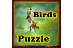 Birds Puzzle