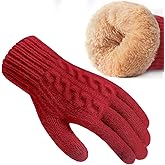 Pleneal Womens Winter Gloves - Gloves for Women Cold Weather, Womens Warm Fleece Lined Touch Screen Dual-Layer Glove