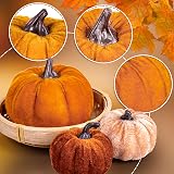 Whaline 12Pcs Fall Velvet Foam Pumpkins 3 Sizes Orange Brown Khaki Decor view 3