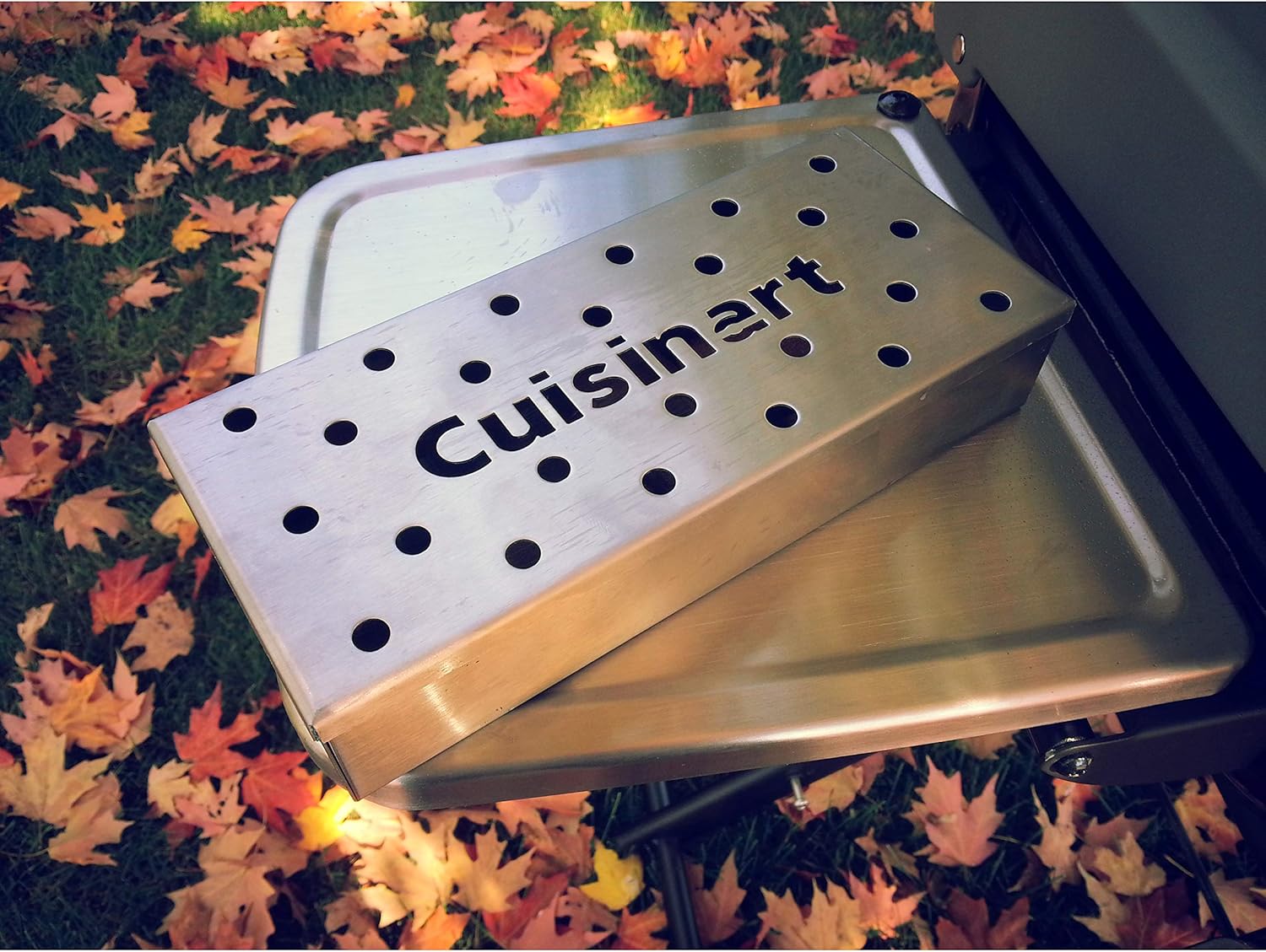 Cuisinart CSB-156 Wood Chip Smoker Box : Tool Box : Garden & Outdoor