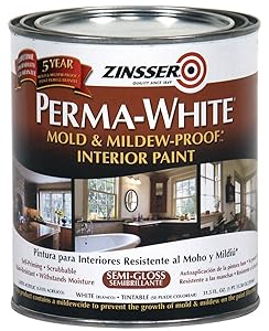 RUST-OLEUM 02754 2754 Interior Paint