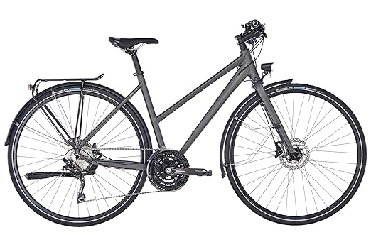 Rabeneick TS5 Damen Trapez 30-Gang Slate matt 2019 Trekkingrad