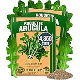 HOME GROWN Arugula Roquette Seeds, 4350+ Seeds, Eruca vesicaria | High Germination, Heirloom, Non-GMO | 4350+ Seeds (2175+ Each, 2 Pack) | Peppery Greens | Hydroponic, Microgreens, Year-Round