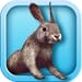 Bunny Simulator