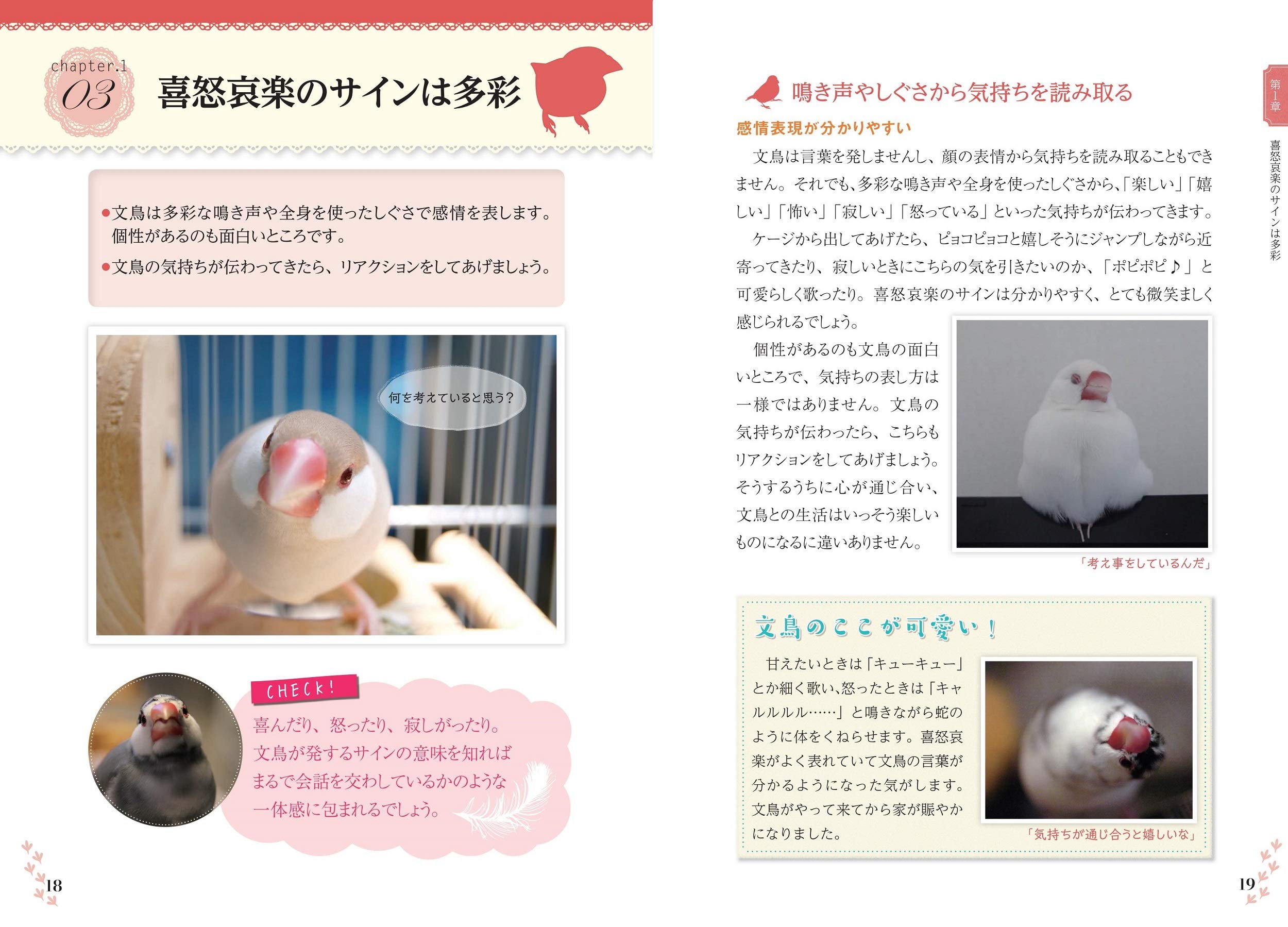 もっと知りたい 文鳥のすべて 幸せな飼い方 接し方がわかる本 コツがわかる本 汐崎 隼 汐崎 隼 本 通販 Amazon