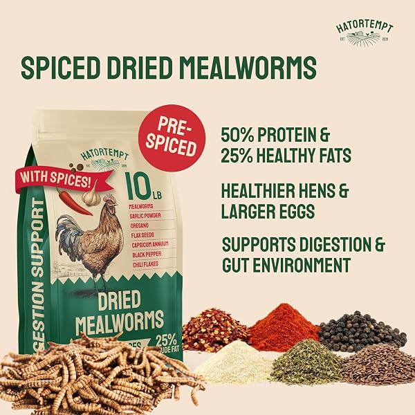 HATORTEMPT 10LB SPICED MEALWORMS FOR CHICKENS WITH DIGESTIVE MIX