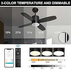 Ohniyou 38'' Ceiling Fan with Lights and