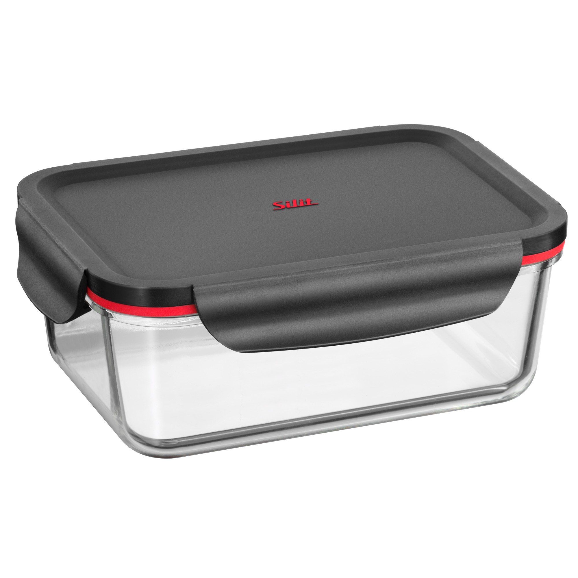 WMF Storio 22632501 Multi-Functional Container, 21 x 14 cm